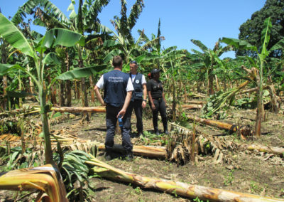 Urgence Haïti pompiers solidaires 2 web